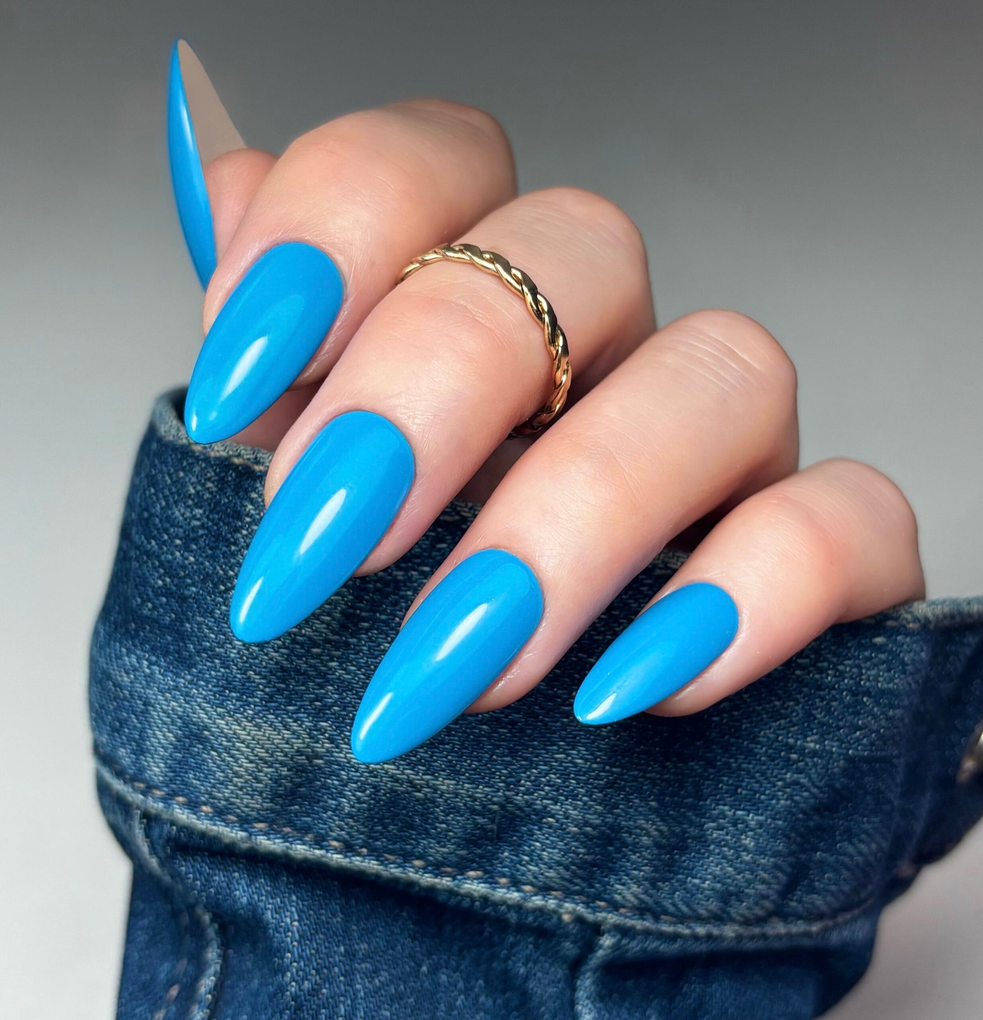 blue berry tart hand asset