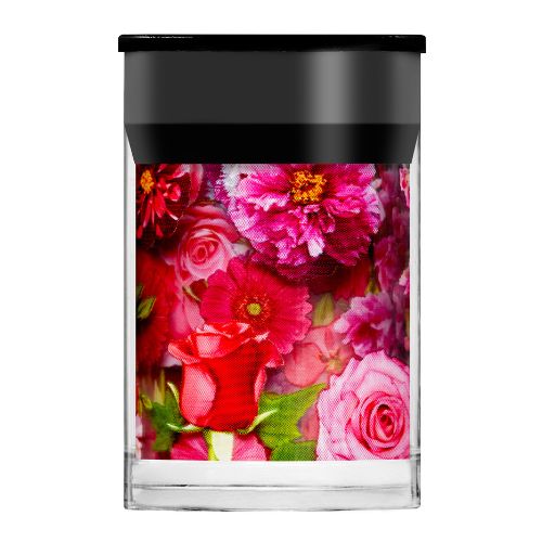 Lecenté Foils Bundle